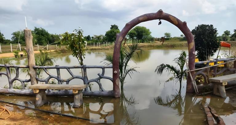 Ajinkya Jungle Lake Farms- Resort — photo 5