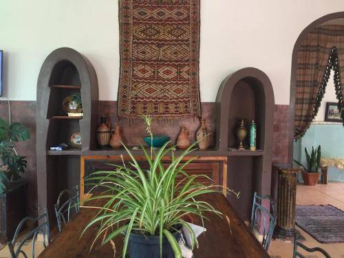 foto13