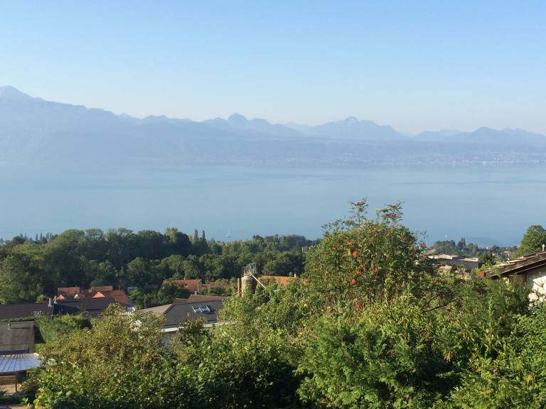 Chalet Lausanne