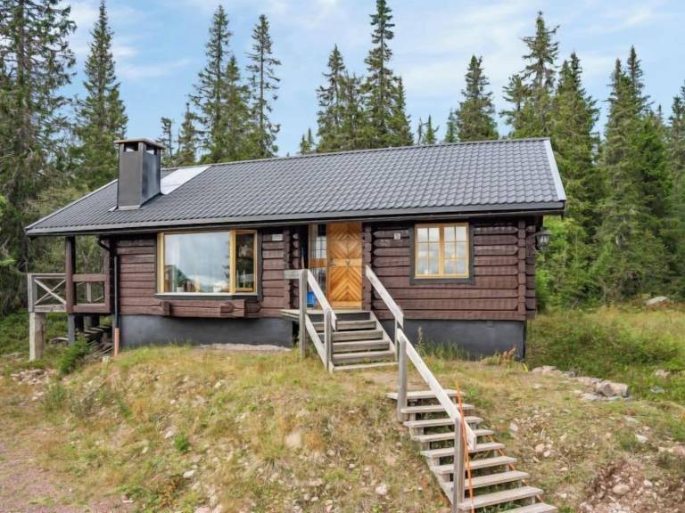 Hus Hundfjället