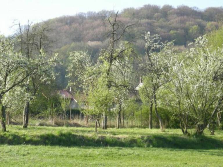 Cottage with BBQ & garden | Pets allowed — photo 3