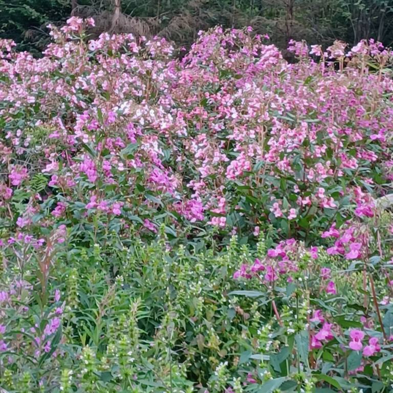 foto15