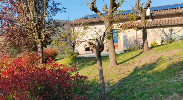 Vacation home with 2 rooms for 6 persons in Todi