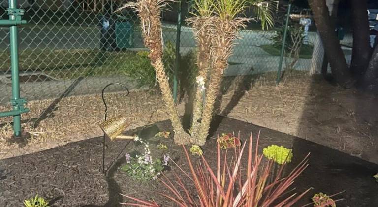 foto31