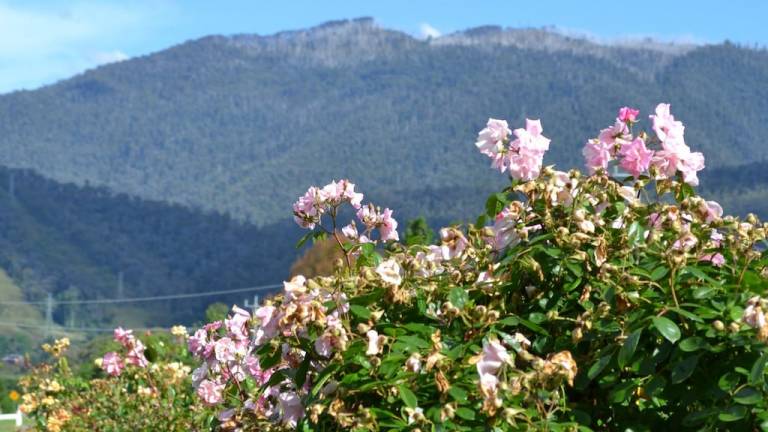 House  Mount Beauty