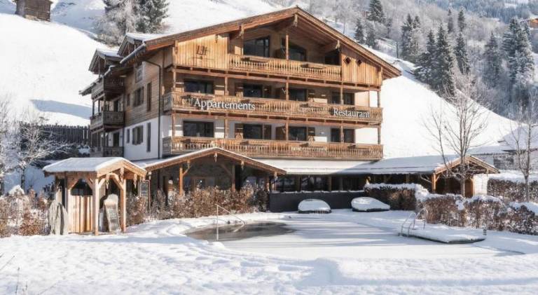 Holiday apartment with pool, garden & patio | Next to the ski | Suitable for remote work | Pets allowed in Saalbach-Hinterglemm