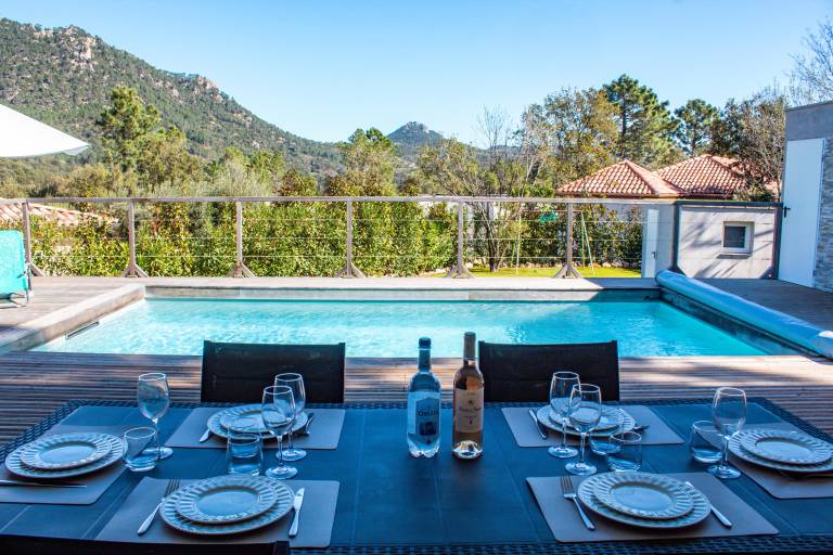 Villa with private pool, patio & yard — photo 4