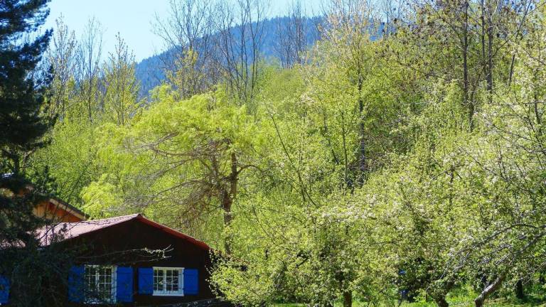 Dům Roquefort-de-Sault