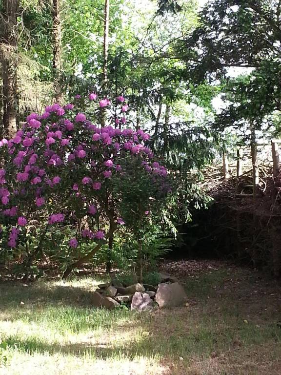foto14