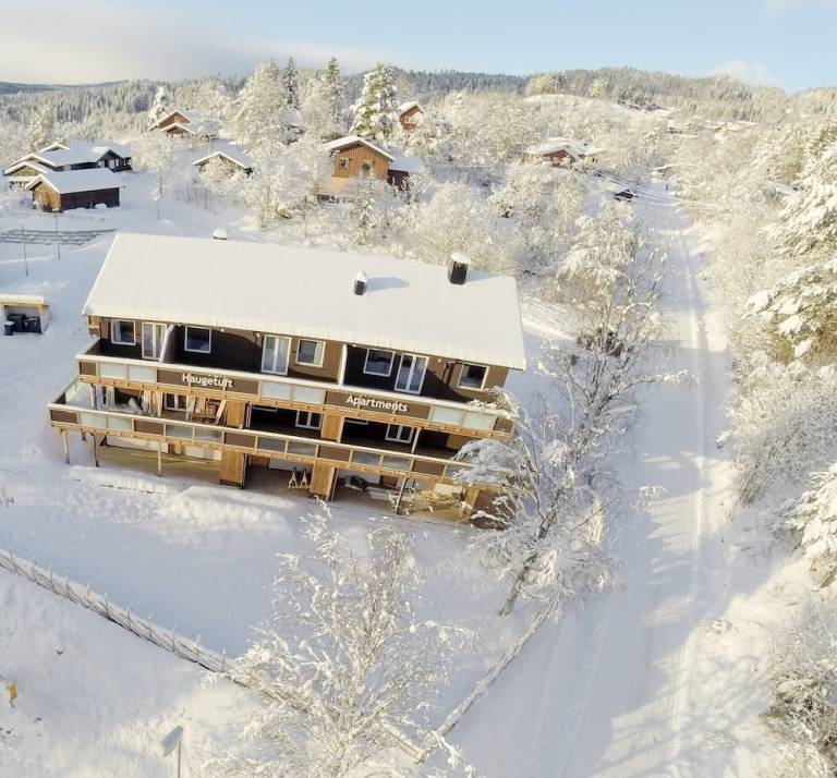 Leilighet  Åmot