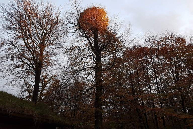 foto7