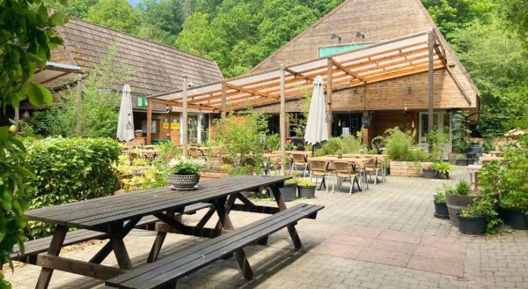 Nice chalet with pool | Pet-friendly — photo 4