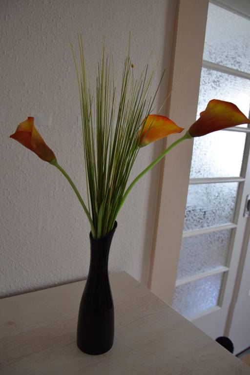 foto38