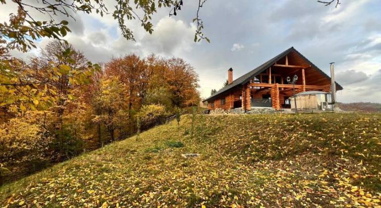Lodge with patio & yard | Pet-friendly in Brasov
