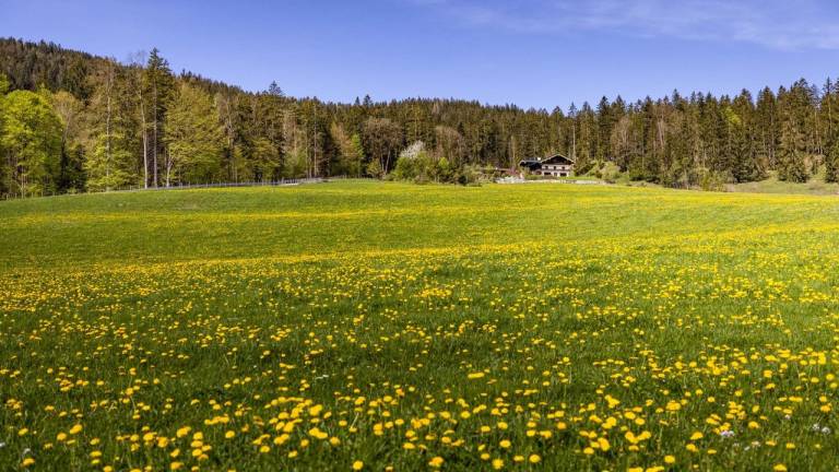 Ferienwohnung Bischofswiesen