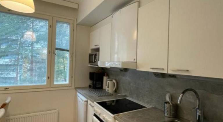 Apartment with 1 room for 2 persons in Helsinki