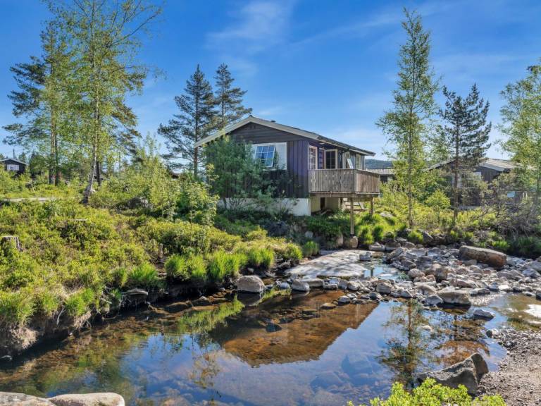 Ferienhaus Åseral