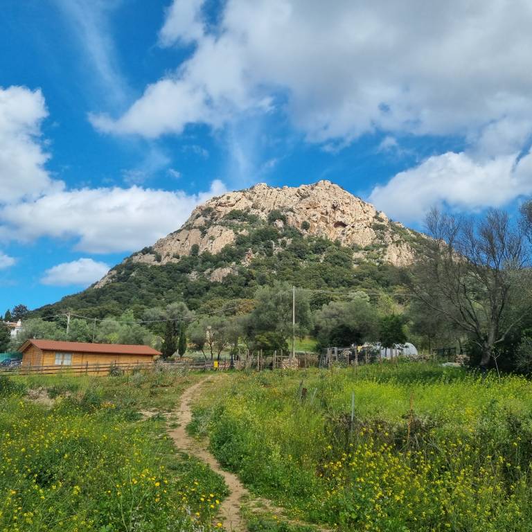 Agriturismo- La Casa delle Fate: Stazzo Sùara — photo 5