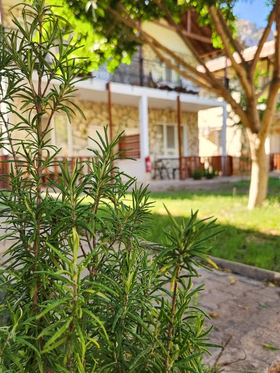 Yedi Butik Hotel in Kemer