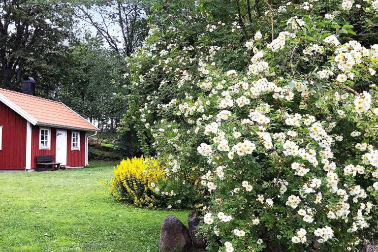 Ferienhaus in Falköping für max. 4 Personen, Ferienhaus in Falköping für max. 4 Personen,