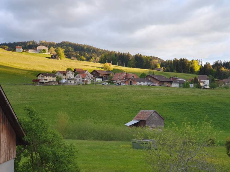 foto18