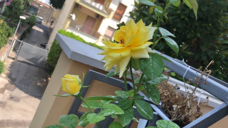 foto24