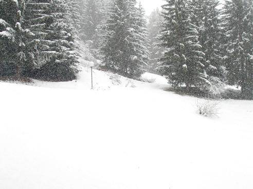 foto8