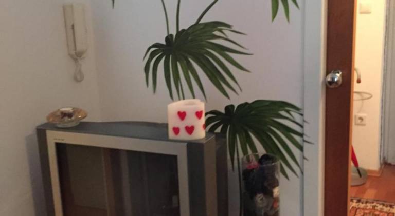 foto20