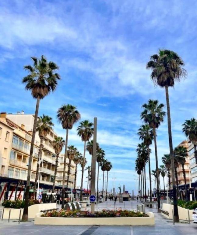 Appartement Canet-en-Roussillon