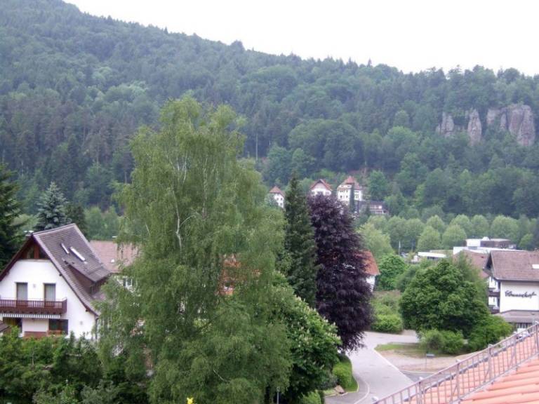 foto7