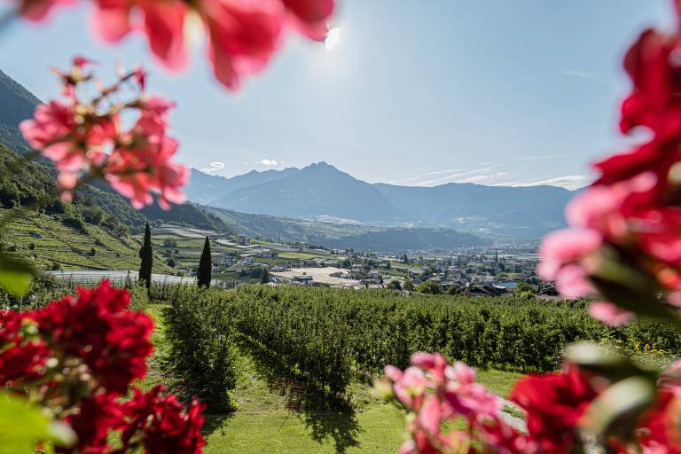 Agriturismo Merano