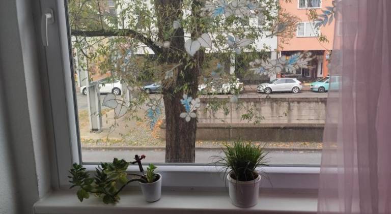 Lovely holiday apartment | Pets allowed — photo 5