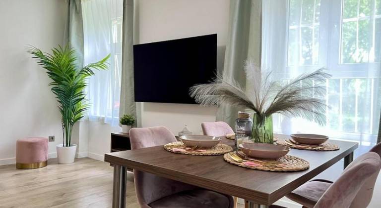 Rental apartment | Near Grassalkovich Palace | Dogs allowed in Bratislava