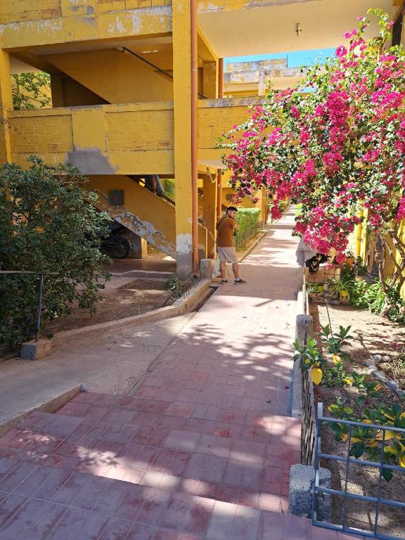 Apartment Mendoza