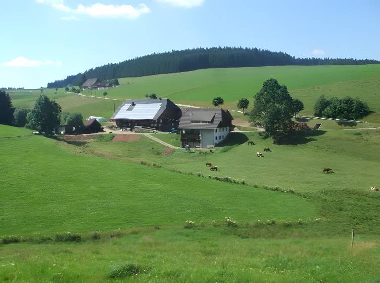 foto15