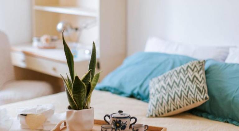 Nice apartment | Pets allowed in Latina