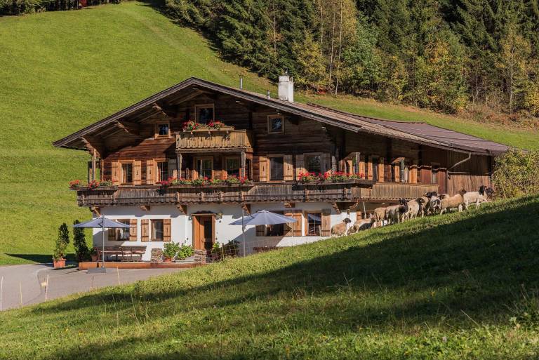 Ferienwohnung in Ellmau f&uuml;r max. 4 Personen