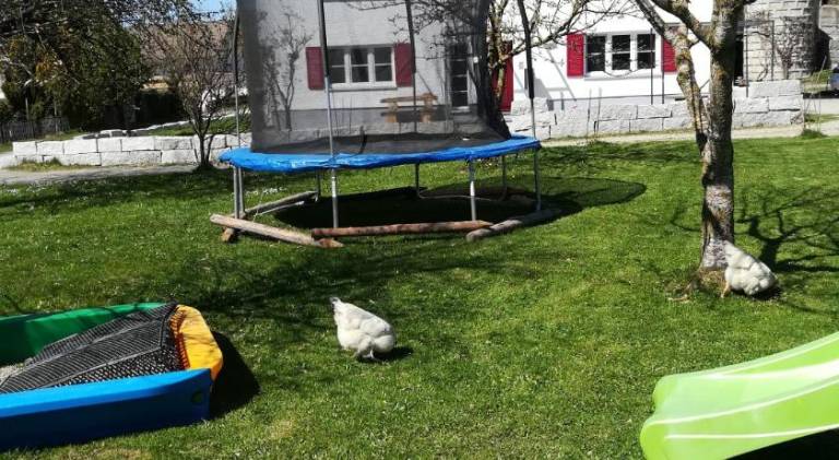foto15