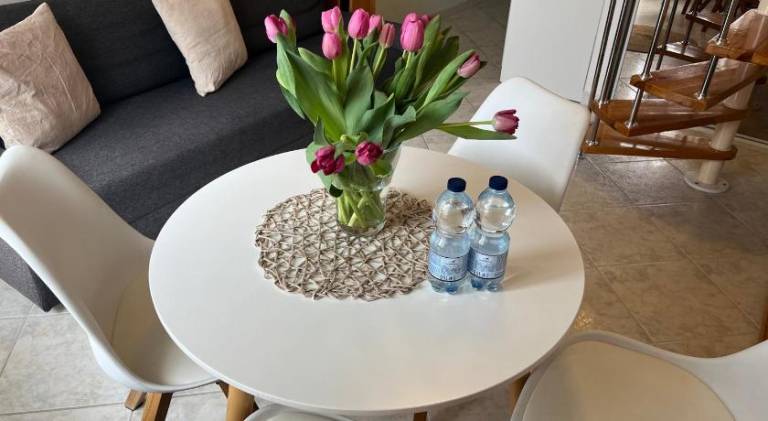 Holiday apartment with 1 room for 4 persons in Miedzyzdroje