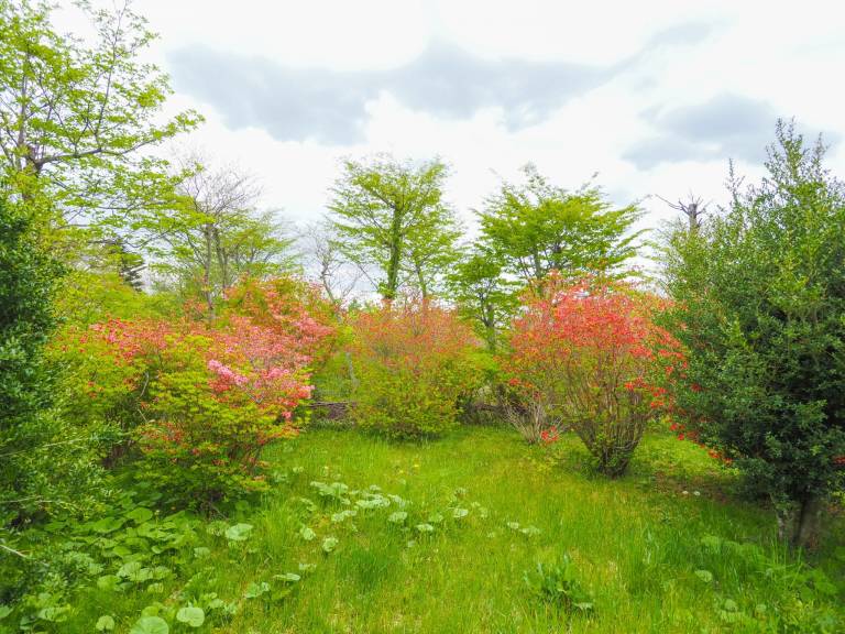 Nasu no Mori Yumoto's villa. 15 minutes walk to Sh — photo 2