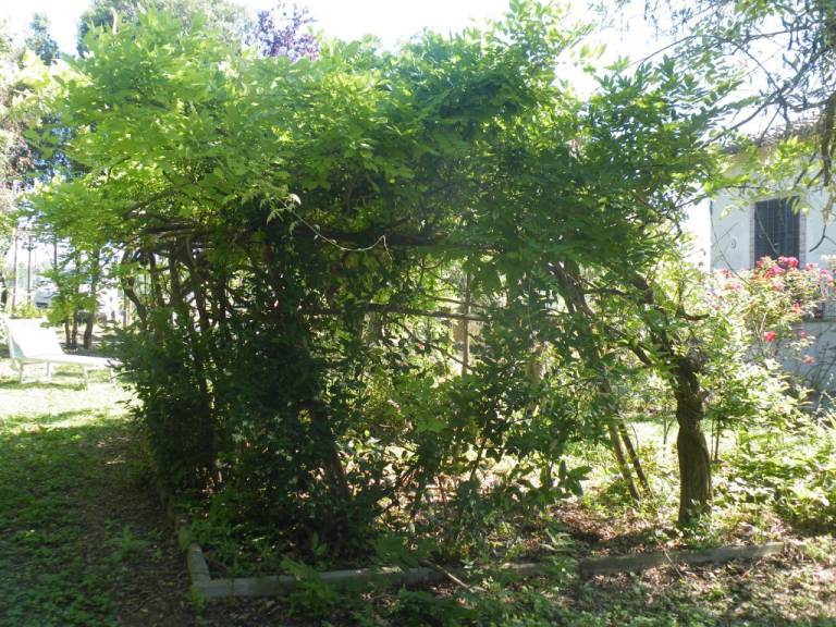 foto21