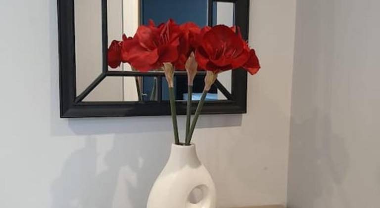 Holiday apartment with terrace | Pet-friendly — photo 3