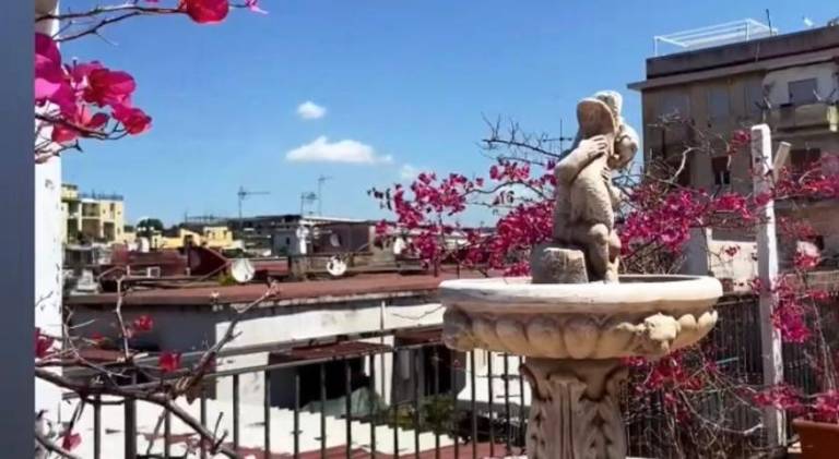 Apartment with patio | Near Naples Cathedral | Dogs allowed — photo 5