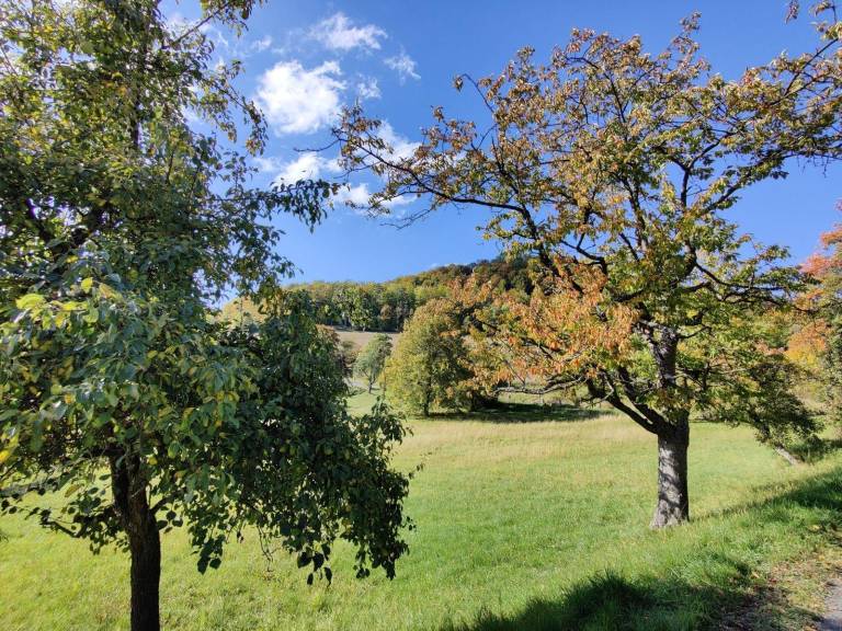 foto17