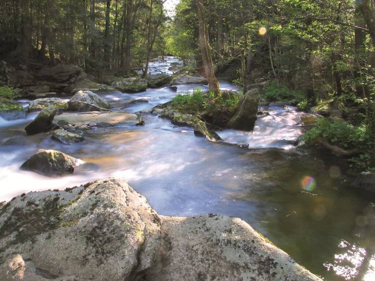 foto33