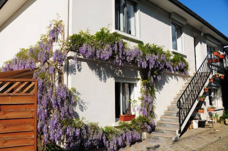 Appartement Ayzac-Ost