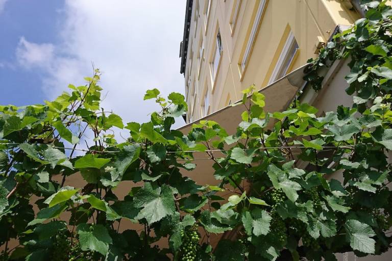 foto13