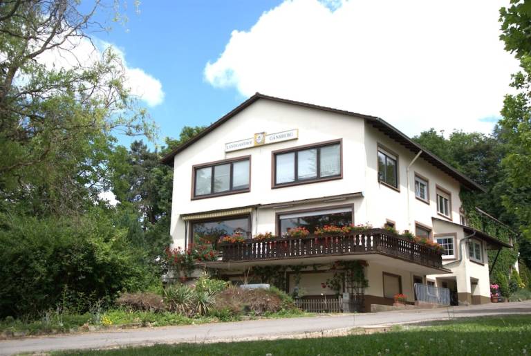 House  Leimen