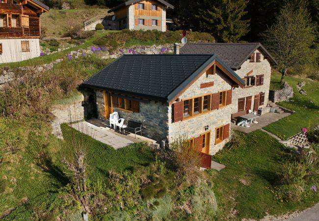 foto30