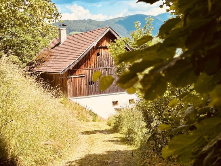 Ferienhaus in Lientsch, Gmünd in Kärnten für max. 6 Gäste
